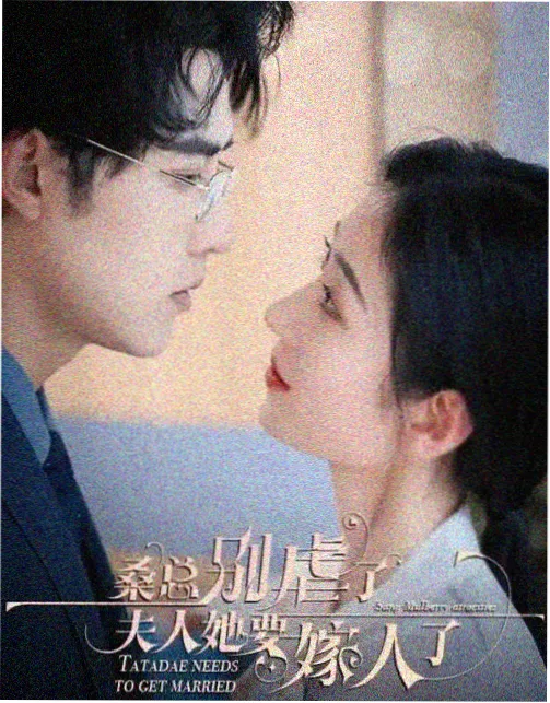 热门影视翻牌推荐：都市群像剧集封面